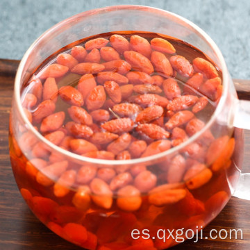 Lycium wolfberry goji baya ecológica para la salud